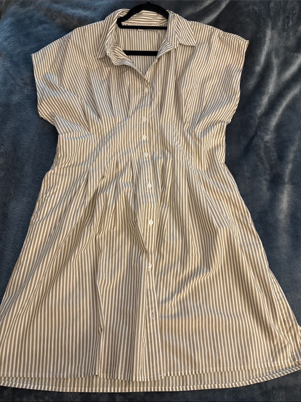 Loft Cap Sleeve Waist Tucked Shirtdress Large Petite